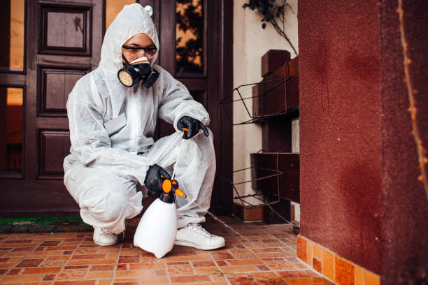 Reliable Wasp Removal contractor in Oviedo, FL by Show Me Pest Control